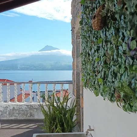 Quinta Peixinho Rc Dt